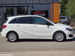 Zdjęcie 7