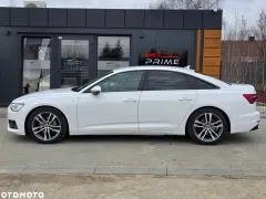Zdjęcie 10