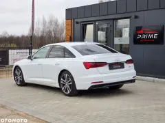 Zdjęcie 11