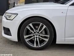 Zdjęcie 13