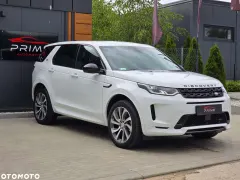 Zdjęcie 5