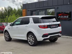Zdjęcie 12