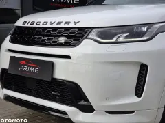 Zdjęcie 17