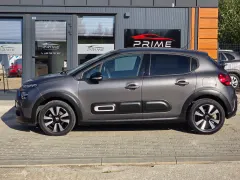 Zdjęcie 11