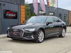 Zdjęcie 10